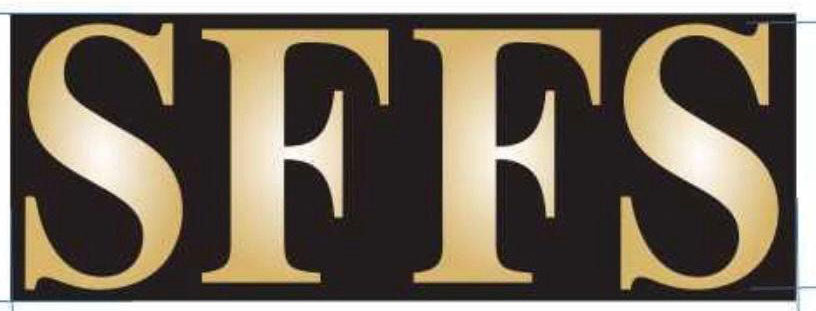 SFFS VEST PIN